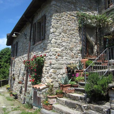 바노네 Poggio Delle Rondini B&B 외부 사진