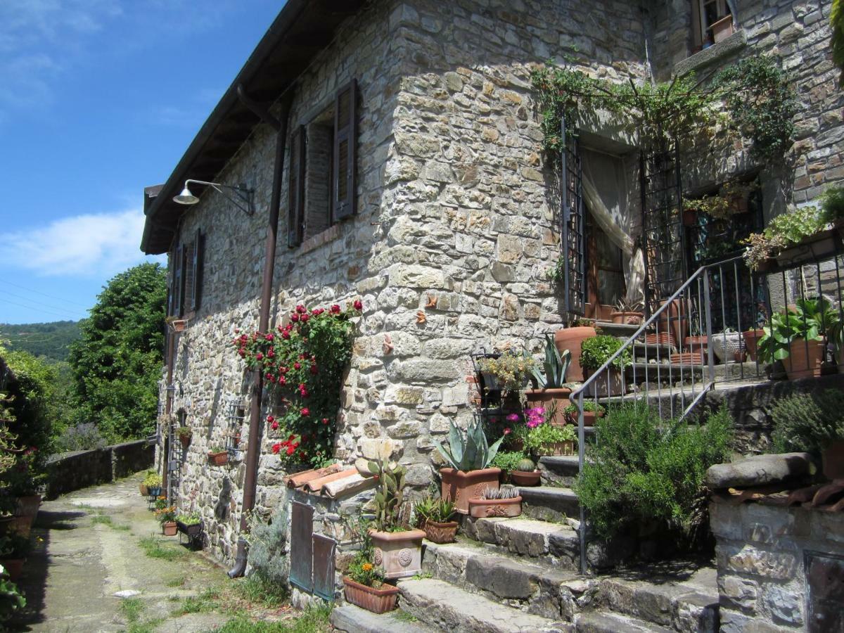 바노네 Poggio Delle Rondini B&B 외부 사진